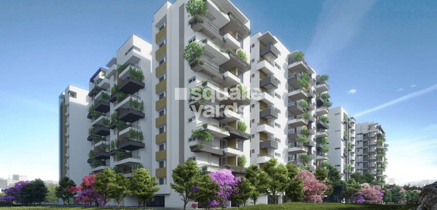 Manbhum Around The Grove