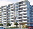 Manbhum Hometree