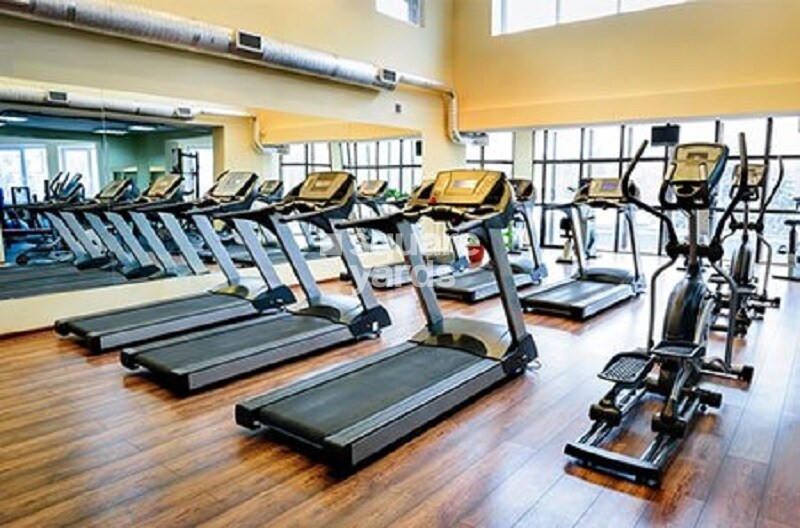 Marina Skies Gymnasium Image