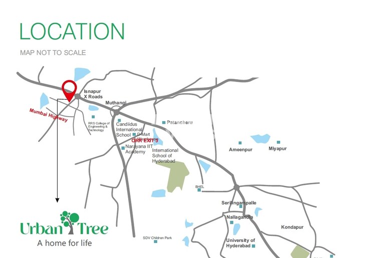 MKT Urban Tree Location Image