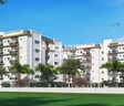 MPR Urban City