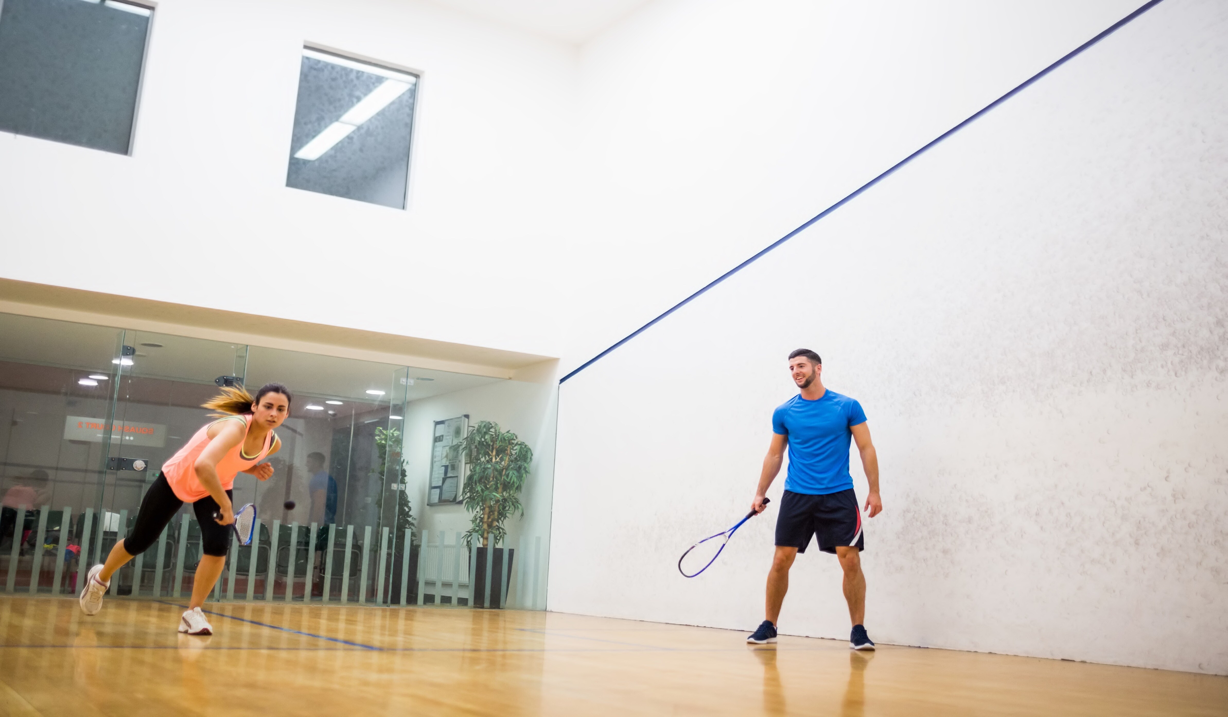 MSN One Sports facilities Image 2