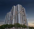 Myscape Palma