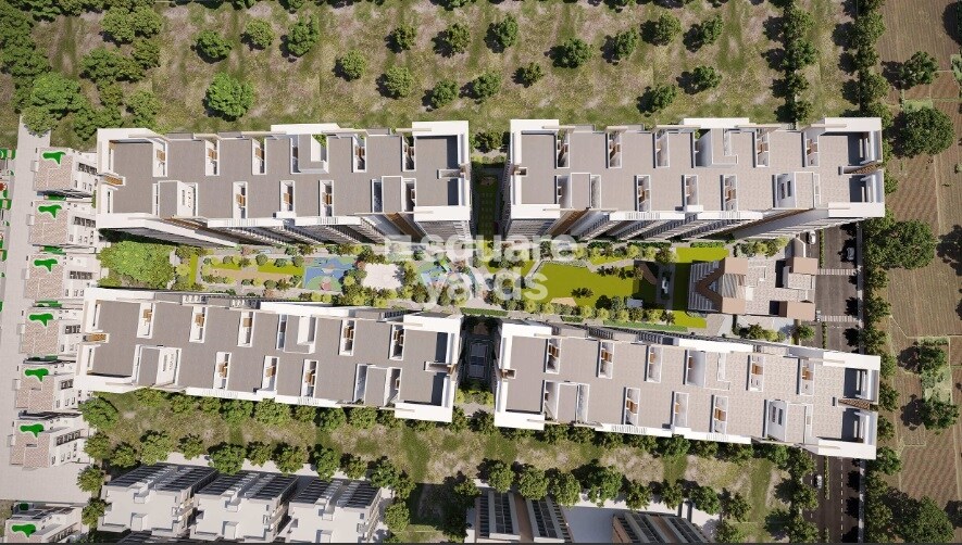 Narenn Primark Inspira