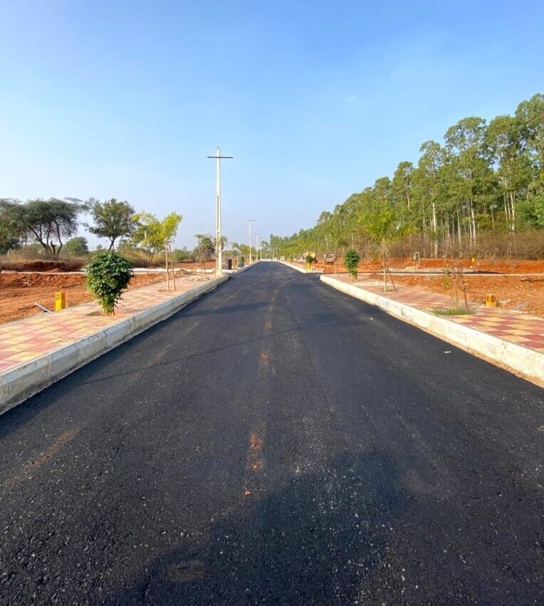 Navabhoomi Wonder Greens