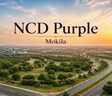 NCD Purple