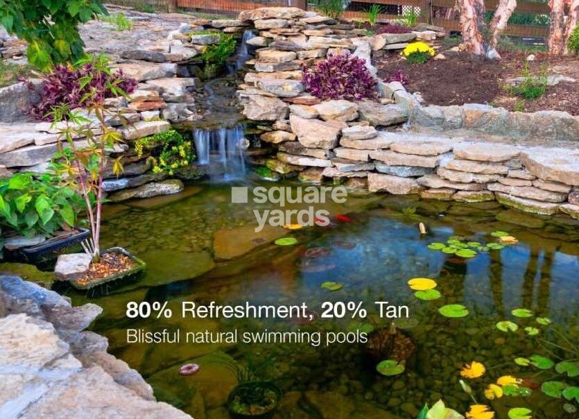 Nest Makers Bliss In The Woods