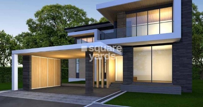 Nest Makers Bliss In The Woods