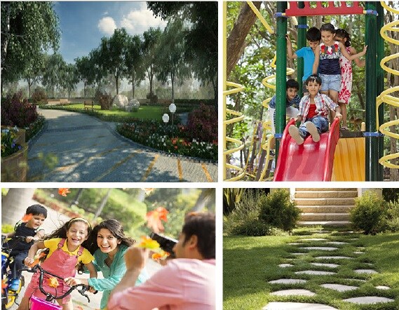 Newmark Green Orchid