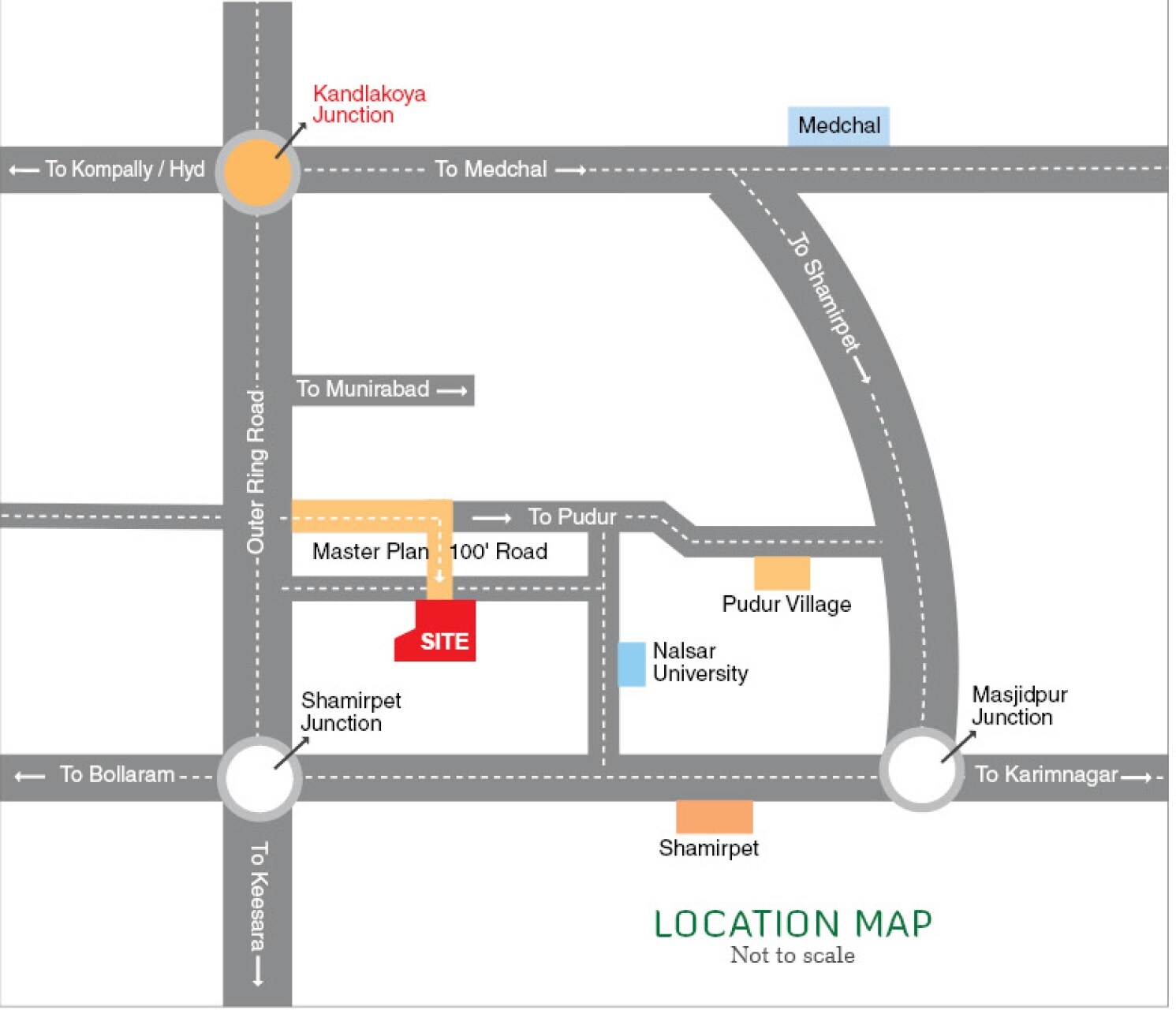 Newmark Green Orchid