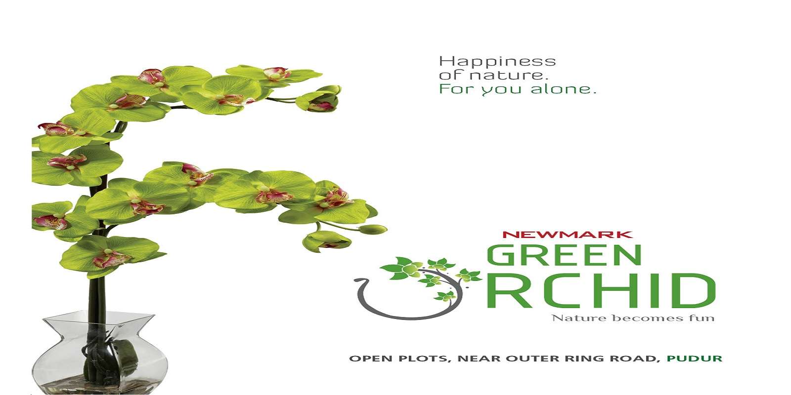 Newmark Green Orchid Cover Image