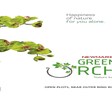 Newmark Green Orchid