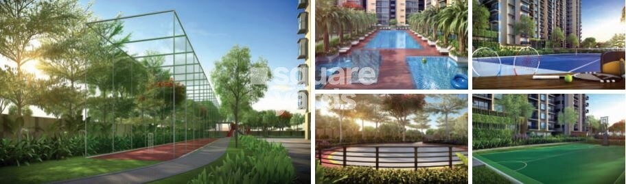 NSL East County Amenities-Features 2