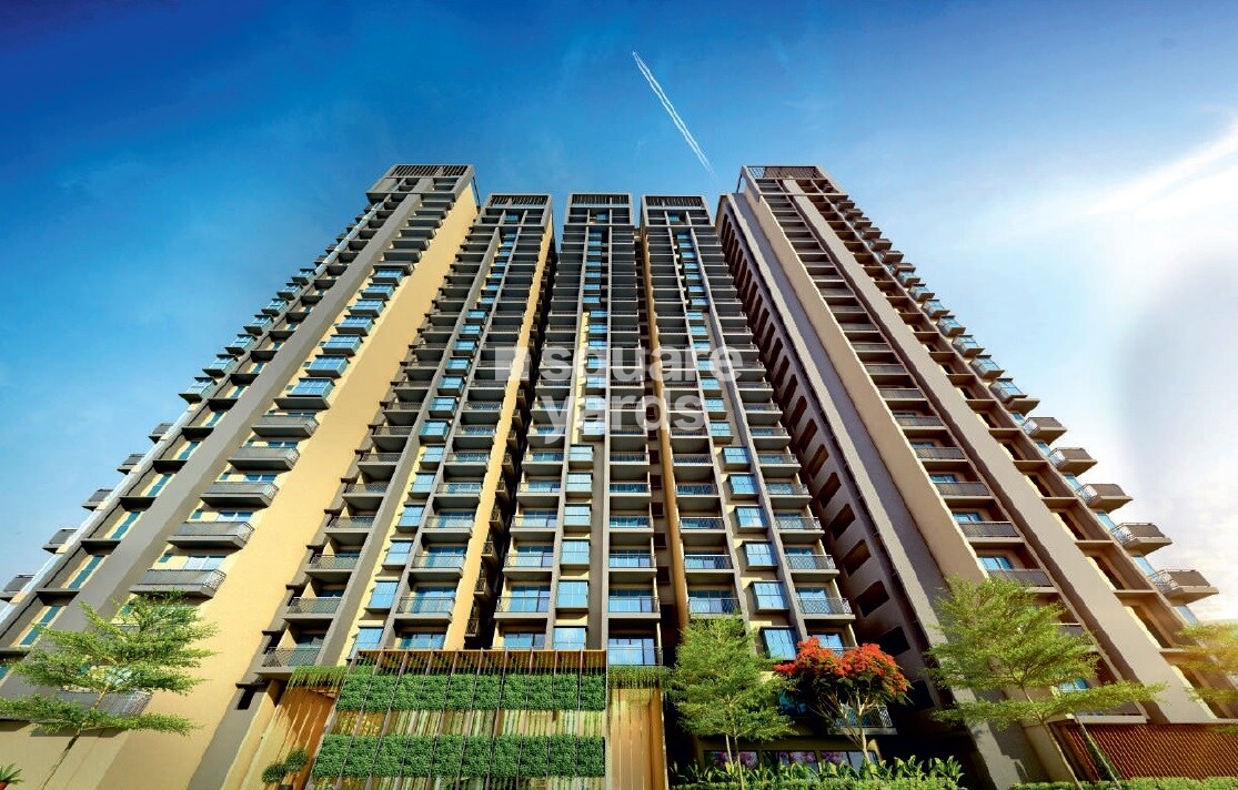 NSL East County Tower View