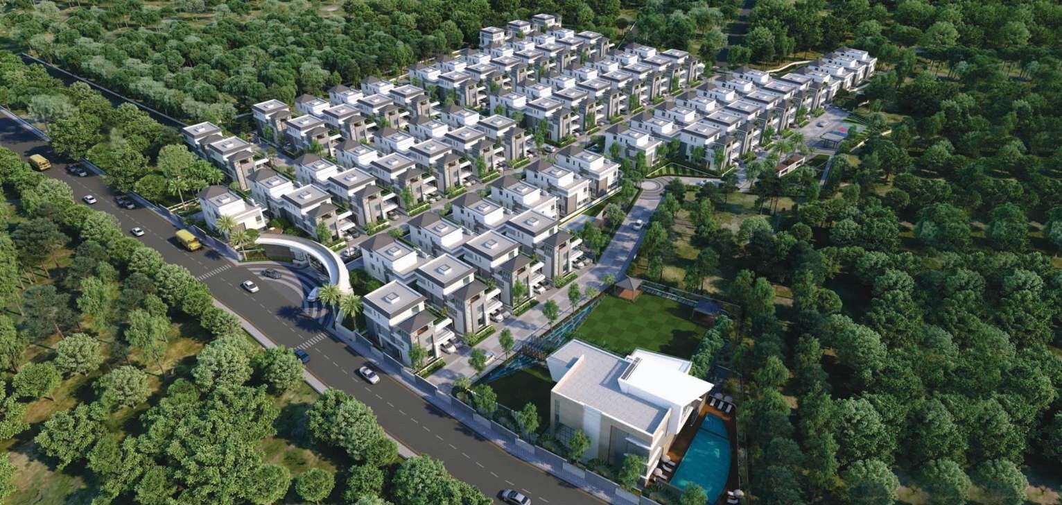 Om Sree Malabar Greens