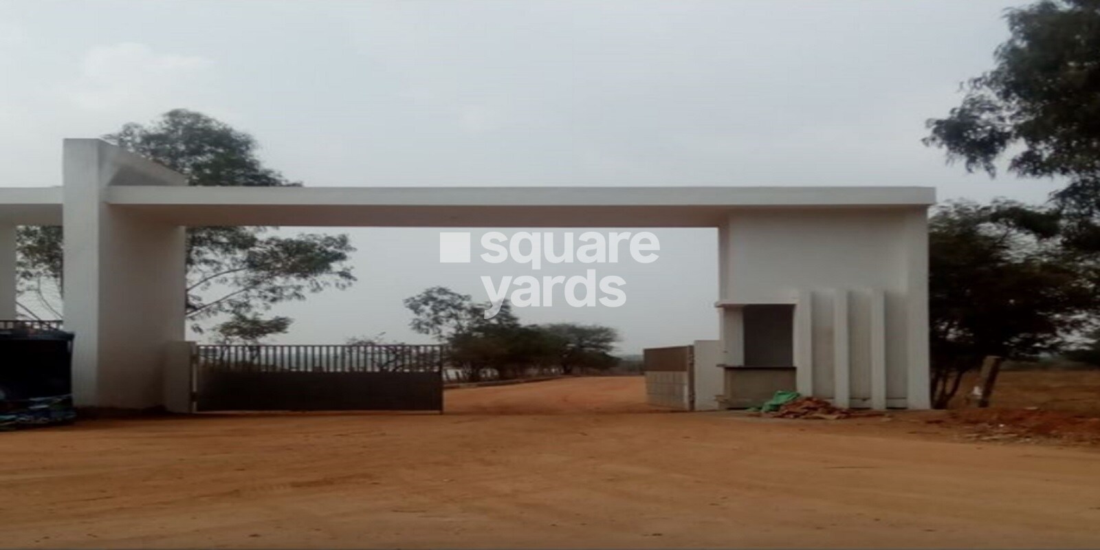 Oorjita Golden Leaf Featured Image