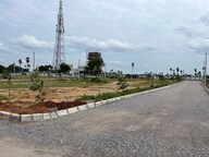 Orange Eastern Meadows Plot Images