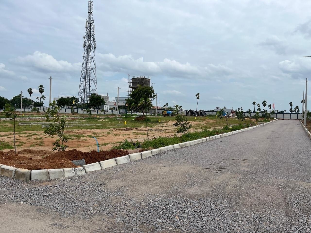 Orange Eastern Meadows