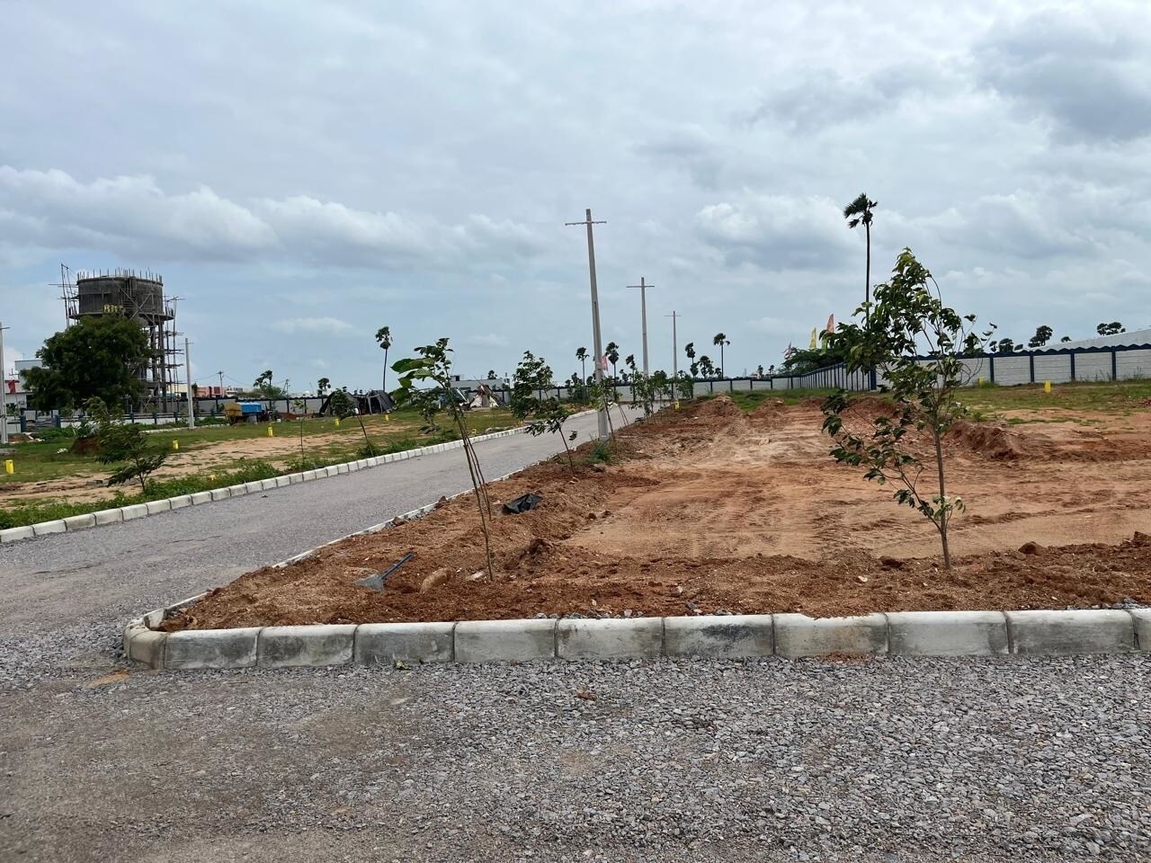 Orange Eastern Meadows