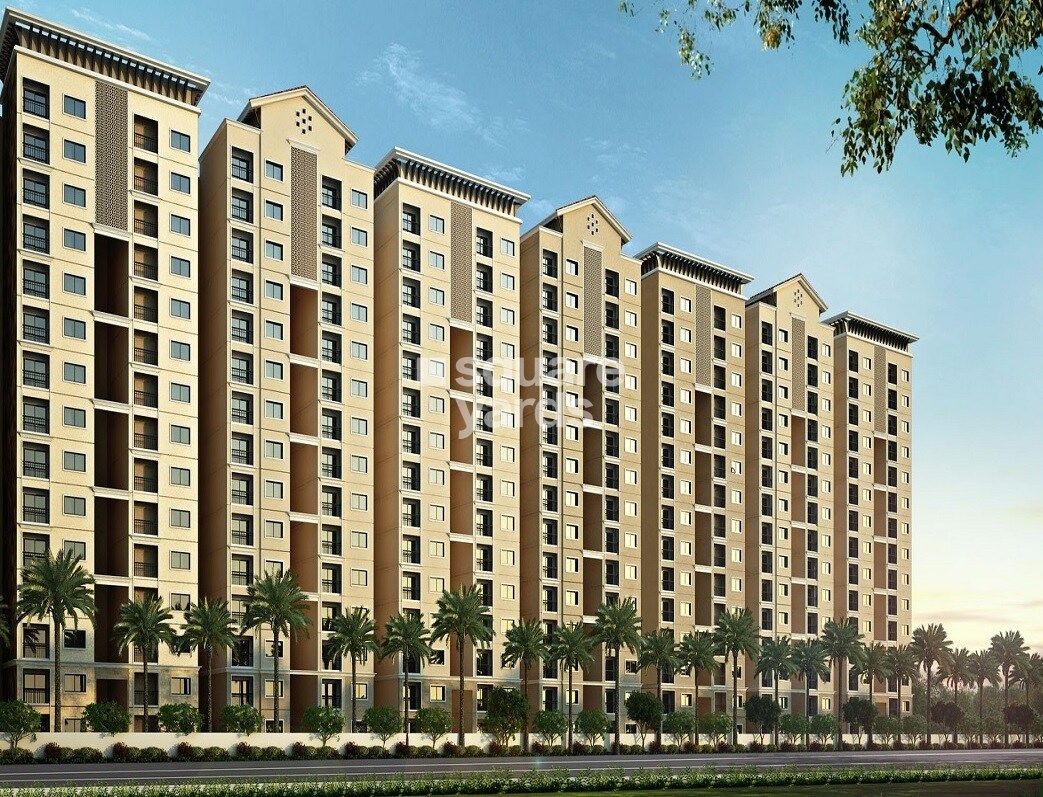 Pacifica  Nebula Aavaas