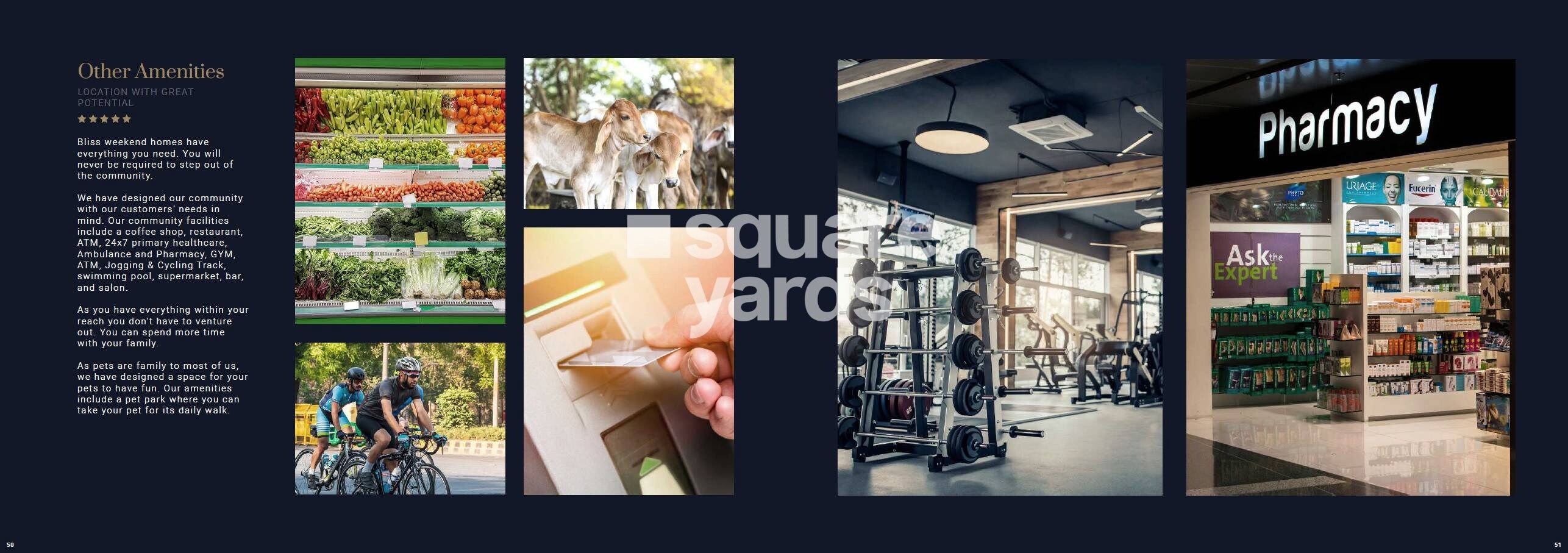 Panasa Bliss Weekend Homes