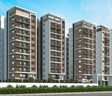 Pavani Starlit