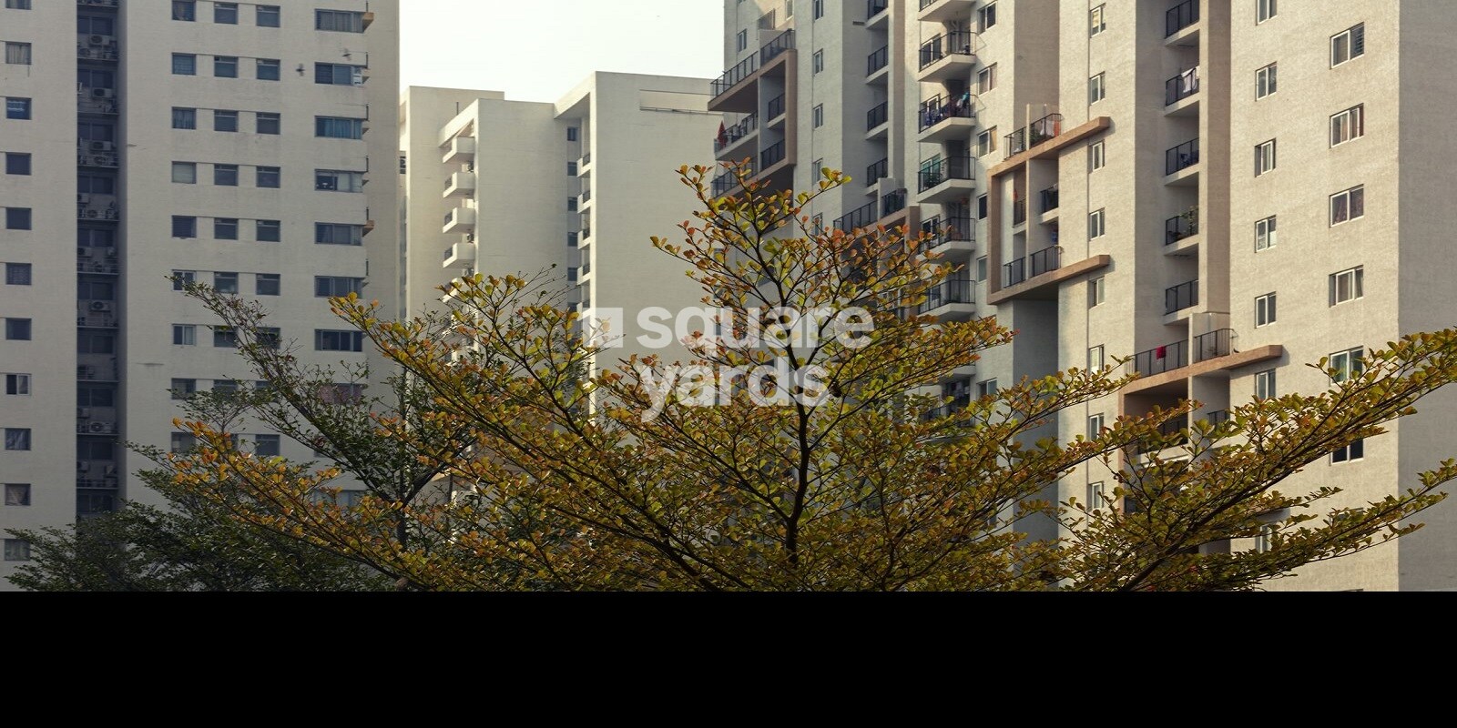 PBEL City Tower J Amethyst