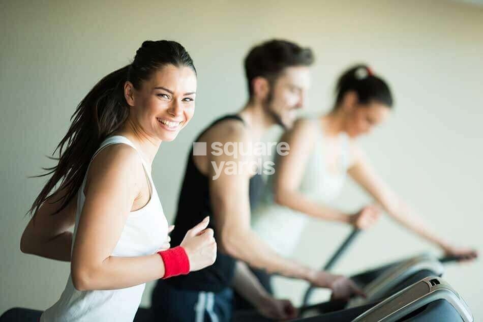 Phoenix Halcyon Amenities-Features 2