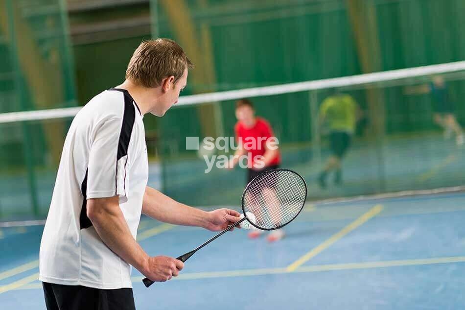 Phoenix Halcyon Sports facilities Image