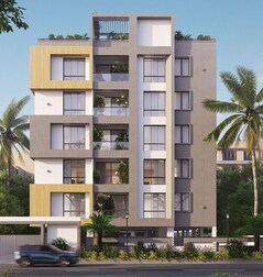 Platina Iris Platina Iris