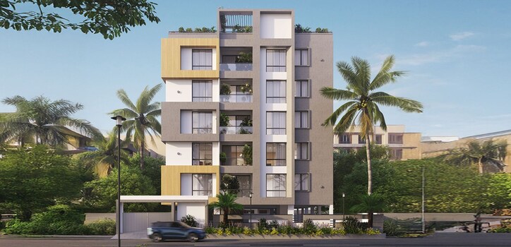 Platina Iris Cover Image