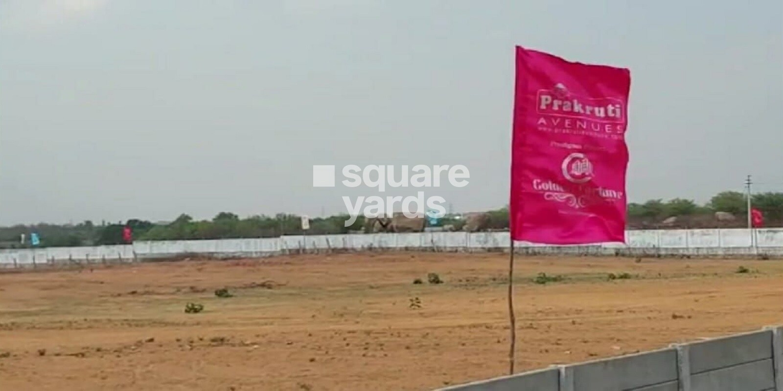 Prakruti Golden Fortune Featured Image