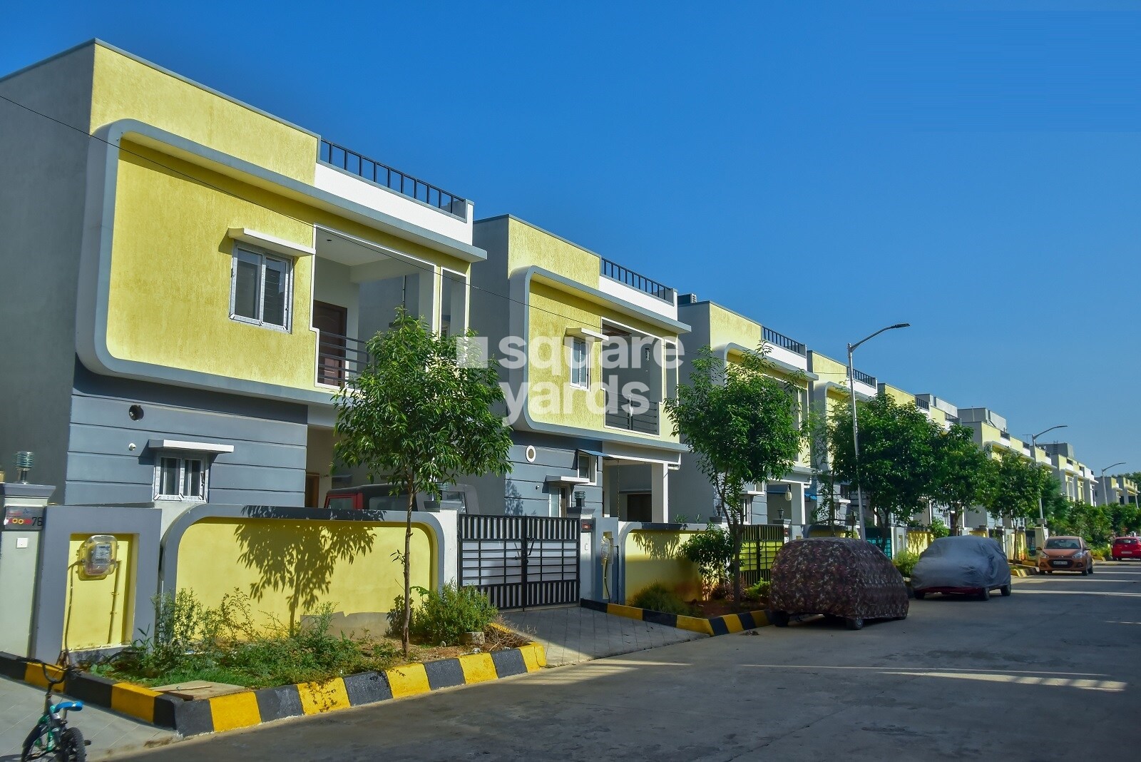 Praneeth Pranav Blooms