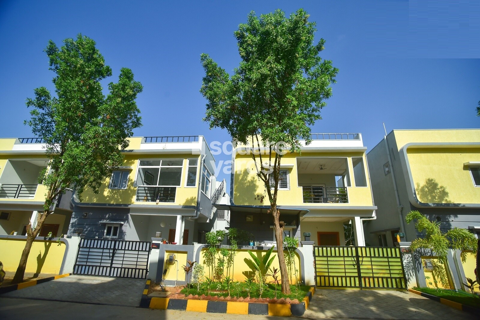 Praneeth Pranav Blooms