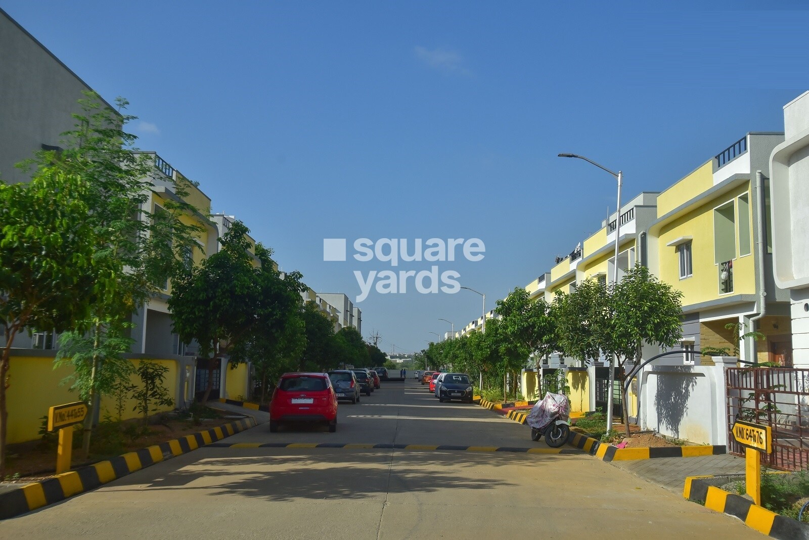 Praneeth Pranav Blooms