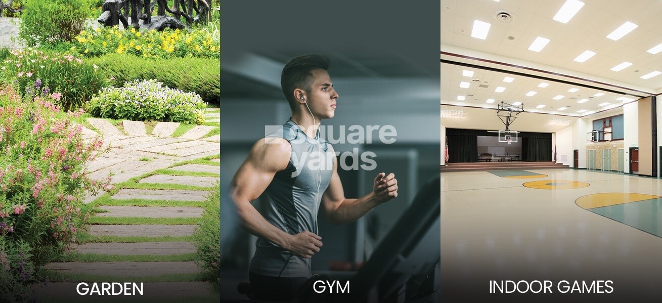 Praneeth Pranav Daffodils