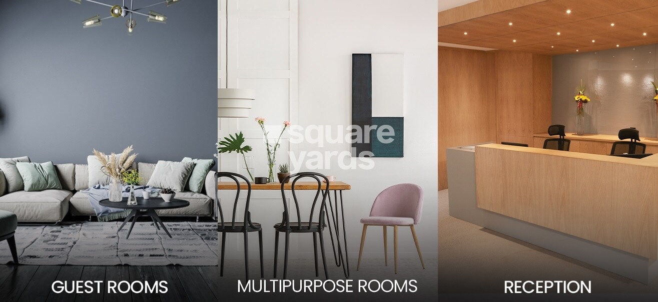 Praneeth Pranav Daffodils