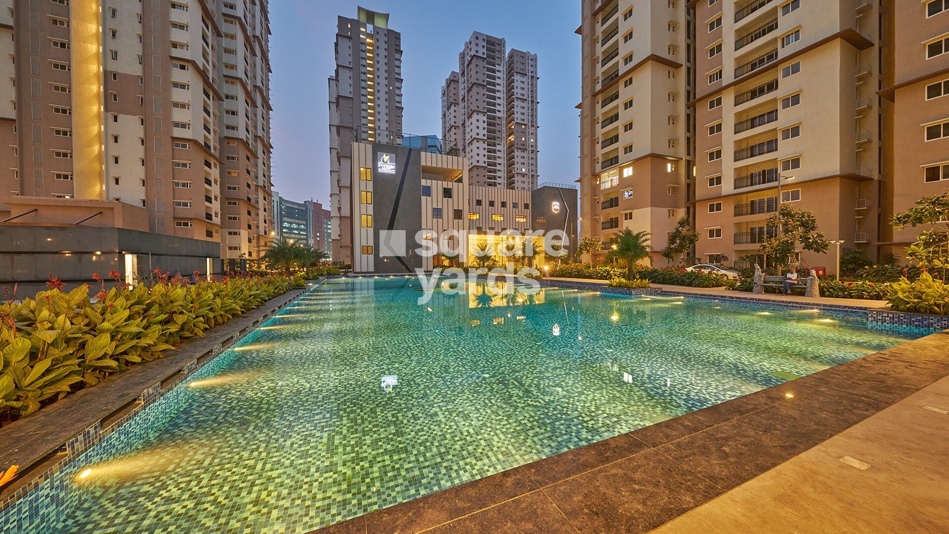 Prestige High Fields