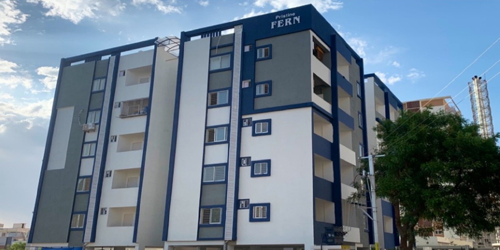 Pristine Fern