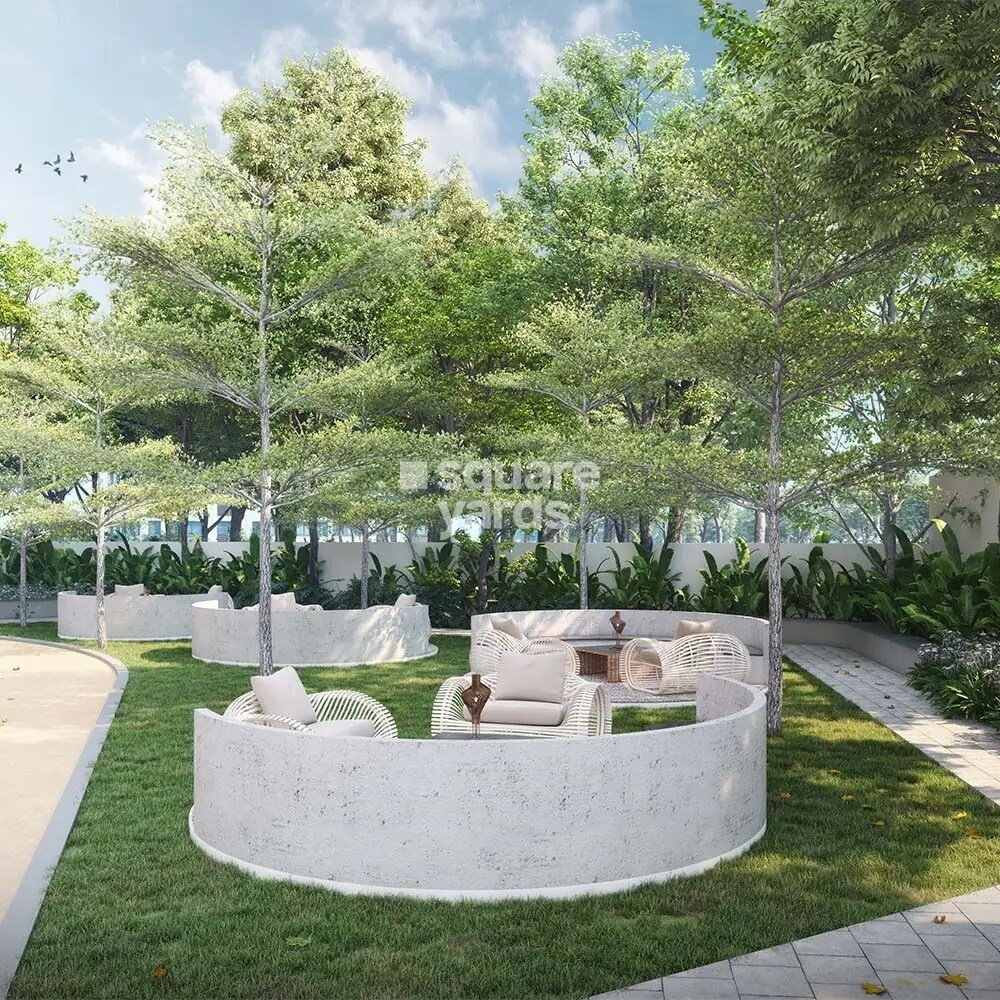 Quambiant Amaranthine