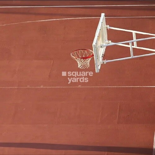 Quambiant Amaranthine