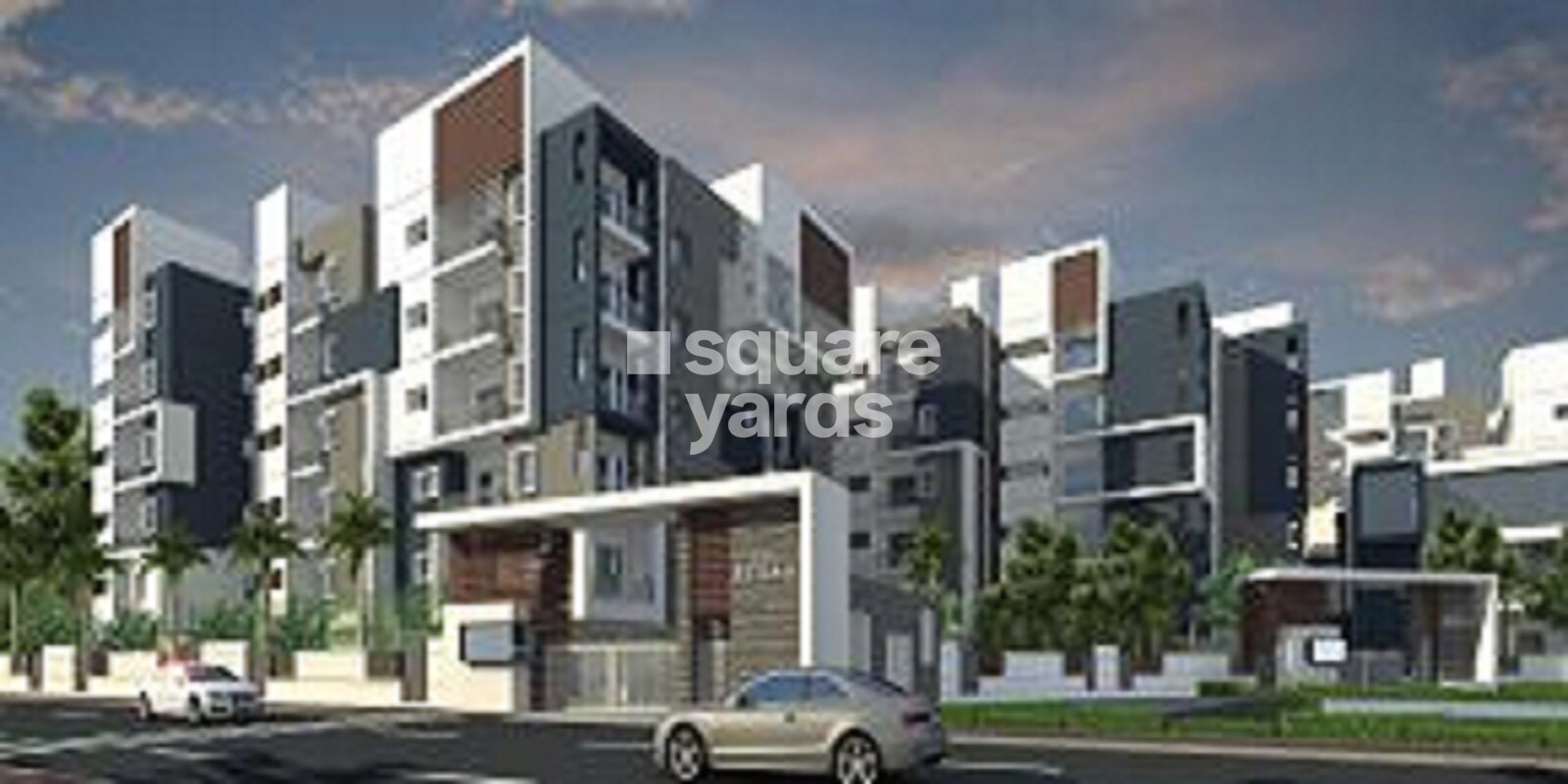 Rainbow Harmony Featured Image