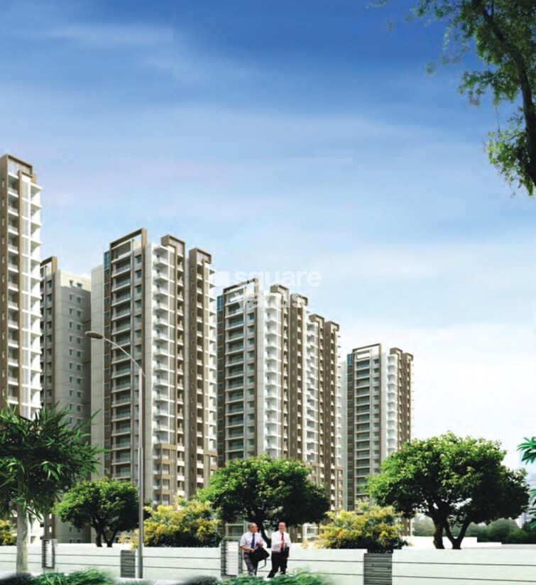 Rainbow Vistas Tower View 1