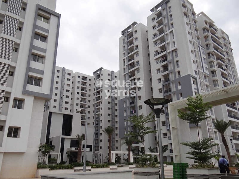 Rainbow Vistas Tower View 2