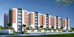 Raja RR Livespace