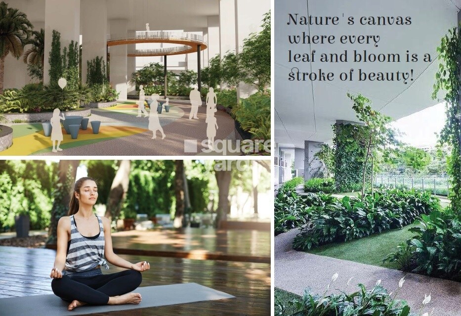 Rajapushpa Presidentia