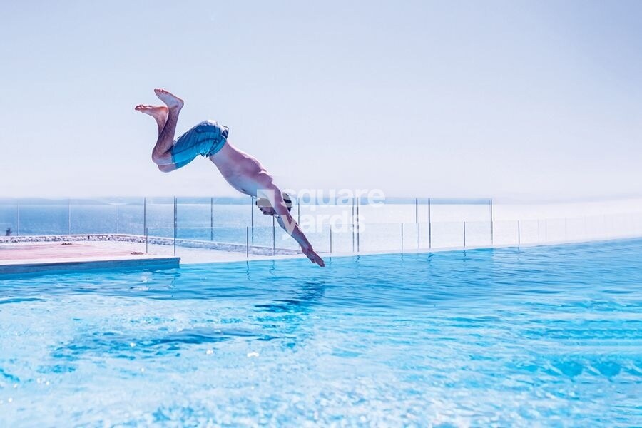 Rajapushpa Pristinia