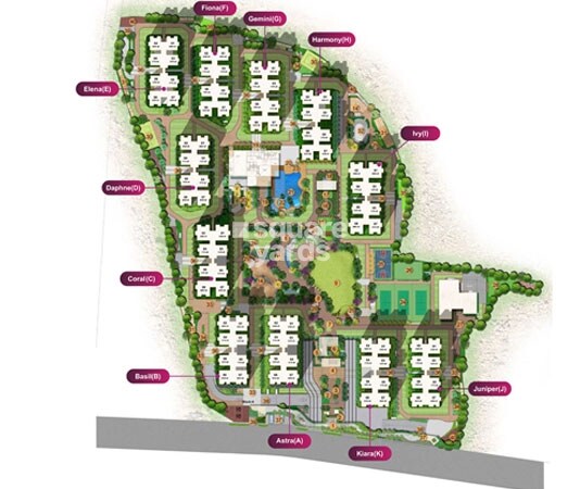 Rajapushpa Provincia Master Plan 1