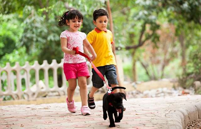 Rajapushpa Sierra Amenities-Features 1