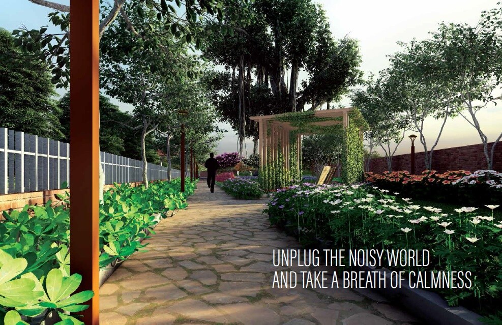 Ridge Tranquil Valley